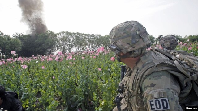 A U.S. Army Explosive Ordnance Disposal Technician from 5-20 infantry Regiment attached to 82nd Airborne looks at an intentional detonation of an explosive device in Zharay district in Kandahar province, southern Afghanistan, April 26, 2012. 