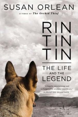 "Rin Tin Tin: The Life and the Legend" looks into the life of the dog that because a huge US star after being rescued from a French battlefield.