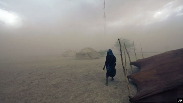 A Tuareg woman walks during a sandstorm in Ingal, Niger, September 18, 2011. Scientists say such storms could increase with climate change.