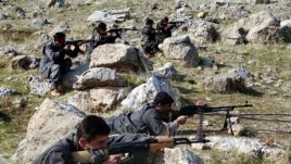 Şervanên PKK'ê