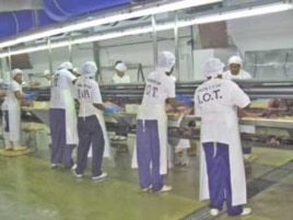 Seychelles workers process and package tuna in the capital, Victoria