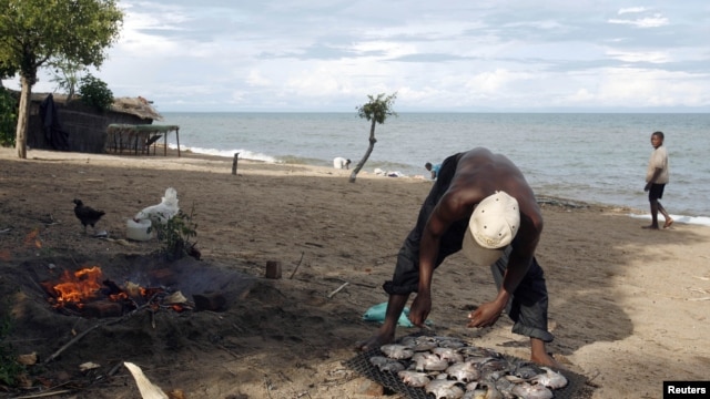 A fisherman prepares fish beside Lake Malawi, 120 km (75 miles) east of the capital Lilongwe, Malawi, April 3, 2009. 