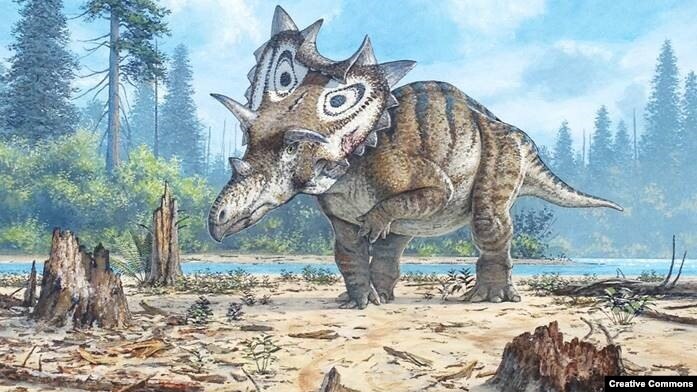 three horned dinosaur