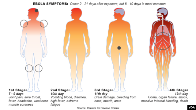 Centers for Disease Control, stages of Ebola virus