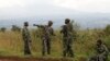DRC Government says FDLR Rebels Disarming 