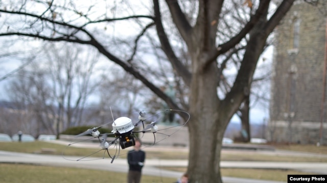 An autonomous flying robot avoids a tree on the Cornell Arts Quad (credit: Saxena lab)