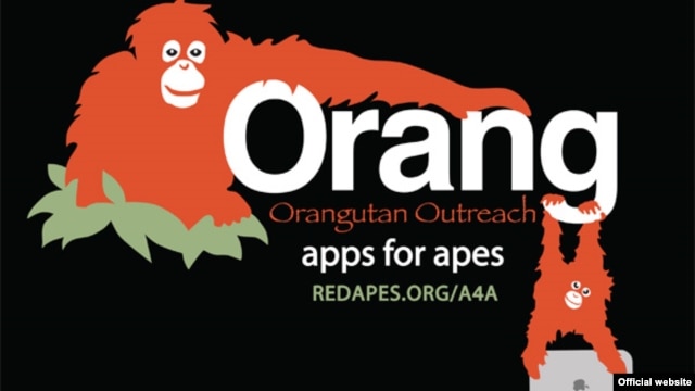 Orangutan Outreach