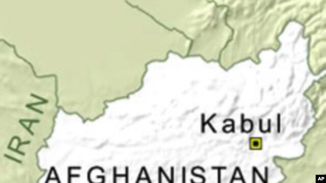 Coalition Troops Launch Major Offensive East of Kabul 