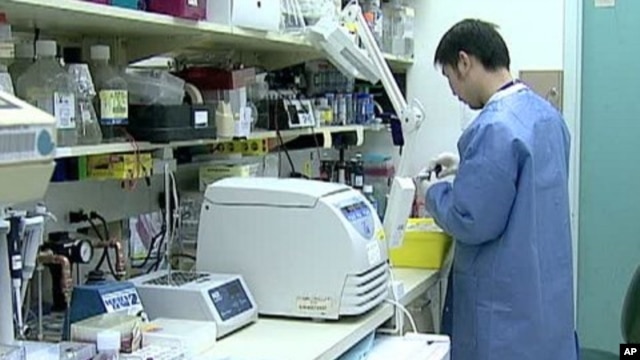 Newly Discovered Biomarker Predicts Cancer Growth