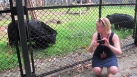 Jessica Beinacke at the Moon Bear rescue center near Chengdu, China