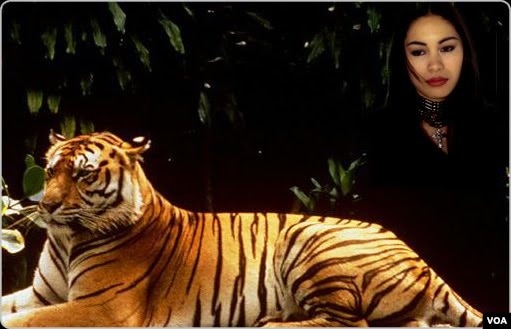 the lady or the tiger 5 paragraph Learn english through story | the lady or the tiger audiobook - duration: 12:37 kid songs 1986 6,036 views 12:37 mrs mancina's example literary analysis essay - duration: 5:01. the lady or the tiger 5 paragraph Learn english through story | the lady or the tiger audiobook - duration: 12:37 kid songs 1986 6,036 views 12:37 mrs mancina's example literary analysis essay - duration: 5:01.