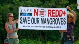 Two protesters from environmental groups protest holding up a banner against the REDD, the UN program to reduce deforestation and forest degradation in developing countries, outside the U.N. Climate Change conference in Cancun, Mexico, file photo. 