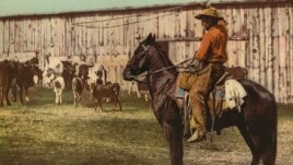 Cowboy throwing lasso