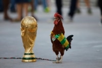 World Cup Rooster