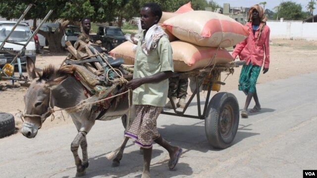 Business is booming in Balad, Somalia on July 3, 2012 after al-Shabab militants were pushed out of the city. (VOA/M. Yusuf)