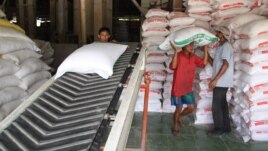 Workers carry bags of rice in Tien Giang. Vietnam could become the world's biggest rice exporter.