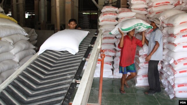 Workers carry bags of rice in Tien Giang. Vietnam could become the world's biggest rice exporter.