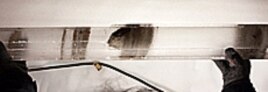 The very last ice core sample collected from the NEEM project shows bits of rock that were trapped in the ice over 100,000 years ago.