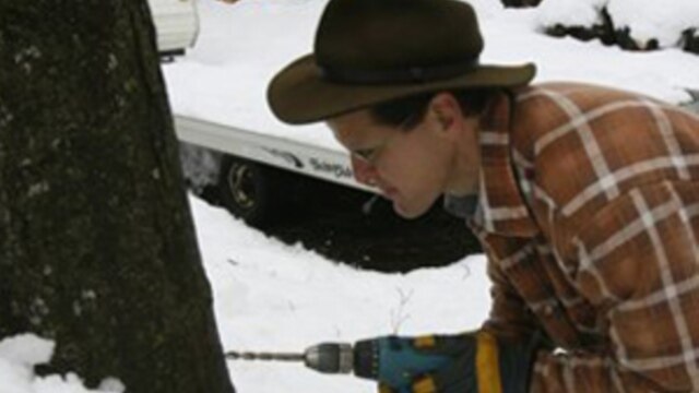 Vermont native Eric May drills a hole to tap a maple tree for sap at his home in Ira, Vermont