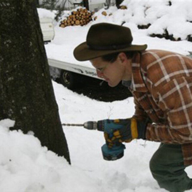 Vermont native Eric May drills a hole to tap a maple tree for sap at his home in Ira, Vermont