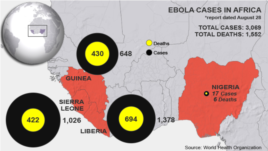 Ebola cases and deaths in West Africa, as of Aug. 28, 2014 update