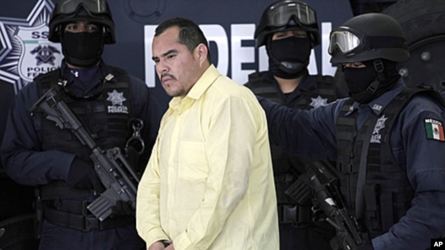Federal police officers escort suspect Marco Antonio Guzman, aka 'El Brad Pitt,' an alleged member of the Mexican Juarez drug cartel, during a presentation to the press in Mexico City, Thursday, June 16, 2011