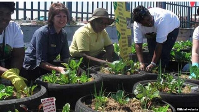 A rooftop garden in Johannesburg, South Africa