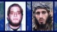 American Jihadists
