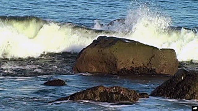 Global warming and changing ocean chemistry affect marine nutrients and marine life