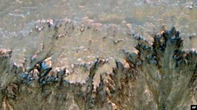 An image combining orbital imagery with 3-D modeling shows flows that appear in spring and summer on a slope inside Mars' Newton crater