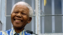 Nelson Mandela, 94, shown in a file photo -  South Africa medical expert announced that Mandela was being treated for a recurring lung infection