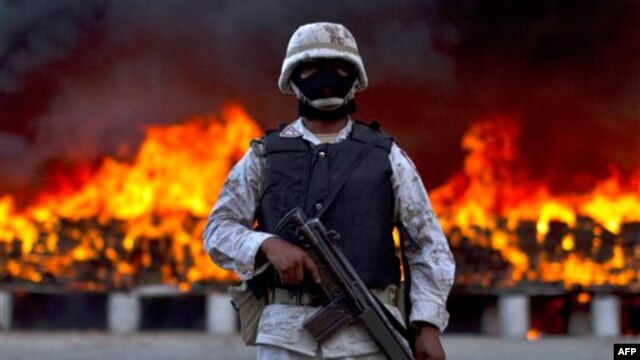 Hình minh họa: Một người lính bảo vệ hiện trường tiêu hủy cần sa ở Tijuana, Mexico.