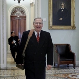 Senate Minority Leader Sen. Mitch McConnell, R-Ky., Sunday, Dec. 19, 2010.