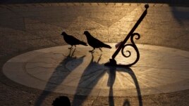 Birds are silhouetted next to the sundial in Sevastopol, Crimea, March 29, 2014.