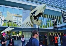 Demonstrators compared the IMF to a "loan shark" and urged an end to what they called unjust economic policies