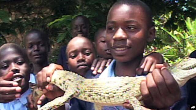 For 15-year-old John Omary holding a crocodile was something he never imagined - 9BBE1D16-9E76-4F2A-A696-A734FA58C16C_w640_r1_s