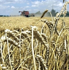 Experts say previous cuts in research and development funding have resulted in a decline in growth of US crop yields since 1990.