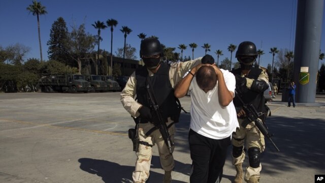Drug War Collapsing Cartel