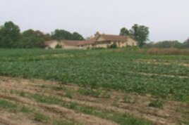 These 26 hectares of land are leased to the Volunteer Farm of Shenandoah to help provide fresh fruits and vegetables for the hungry.