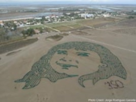 The face of a young Spanish girl was one of more than a dozen public art installations across the planet photographed by satellite and aimed at raising awareness about climate change.