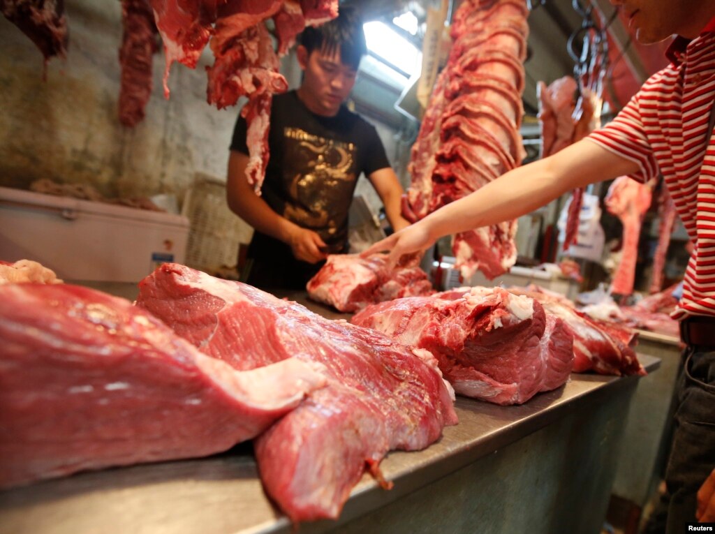 rabbit production ebook meat market female flesh under capitalism laurie penny pdf rabbit production ebook meat market female flesh under capitalism laurie penny pdf