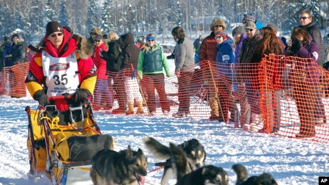 Mitch Seavey competes at the official start of the Iditarod Trail Sled Dog Race in Willow, Alaska, (File Photo).