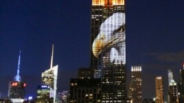Imazhe të kafshëve të rrezikuara, në fasadën e Empire State