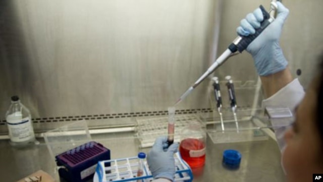 A scientist prepares a blood sample in a laboratory at the Center for Scientific Research Caucaseco in the outskirts of Cali, Colombia, April 25, 2012.