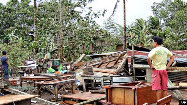 Cảnh đổ nát sau bão Bopha ở Philippines