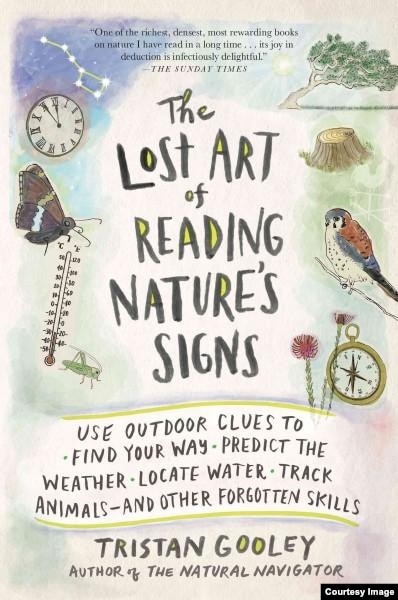 The Lost Art Of Reading Nature S Signs The Lost Art Of Reading Nature S Signs