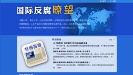 中纪委监察部网站 国际反腐瞭望专题页面截图