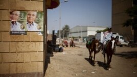 Many horse and camel riders at the Great Pyramids backed presidential candidate Ahmed Shafiq as good for business, Giza, Egypt, June 17, 2012. (Y. Weeks/VOA)
