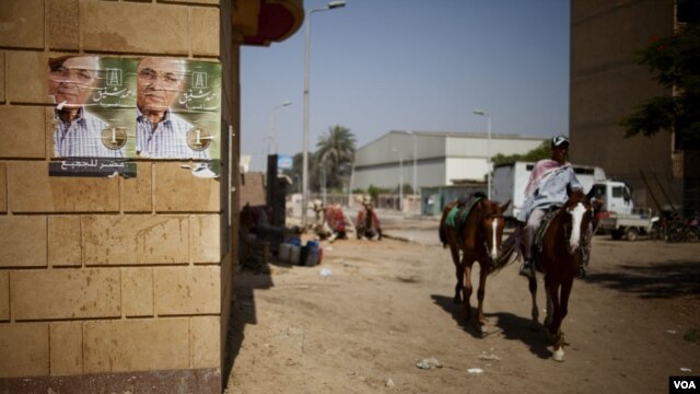 Many horse and camel riders at the Great Pyramids backed presidential candidate Ahmed Shafiq as good for business, Giza, Egypt, June 17, 2012. (Y. Weeks/VOA)
