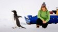 Cô Barbara Tucker, một thành viên trên tàu MV Akademik Shokalski bị kẹt trong vùng băng giá hẻo lánh ở Nam Cực ngồi nhìn một con chim cánh cụt đi ngang qua.